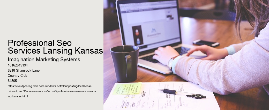 Professional Seo Services Lansing Kansas